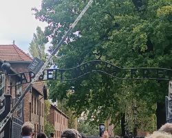 wycieczka-do-Oświęcimia (2)