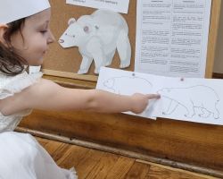 dzien-niedzwiedzia-polarnego (2)